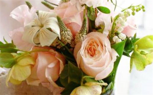 床上最搭的星座_床上最佳星座组合