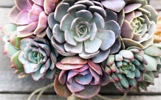 2026年08月31日结婚黄历查询 2026年08月31日结婚黄历查询