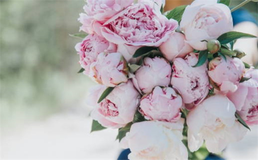 2026年10月13日领证黄历查询 2026年10月13日领证黄历查询