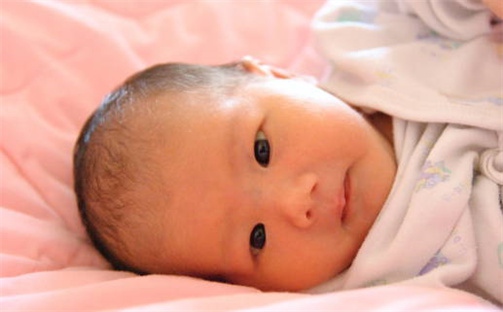 贾姓独特新颖的女生名字