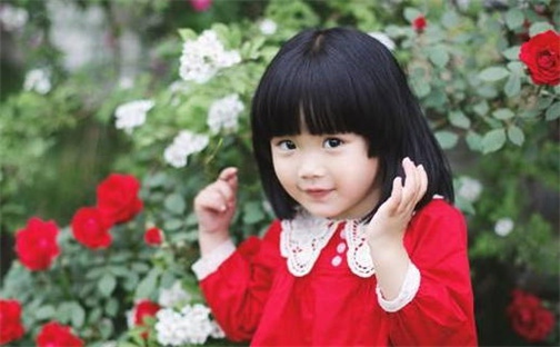 龙姓书香气质的女孩名字