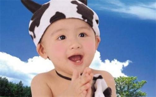 钟姓书香气质的男宝宝名字