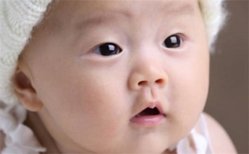 杨姓男孩子取名