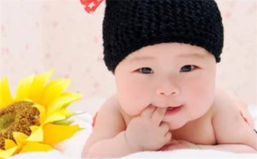 杨姓男孩子取名