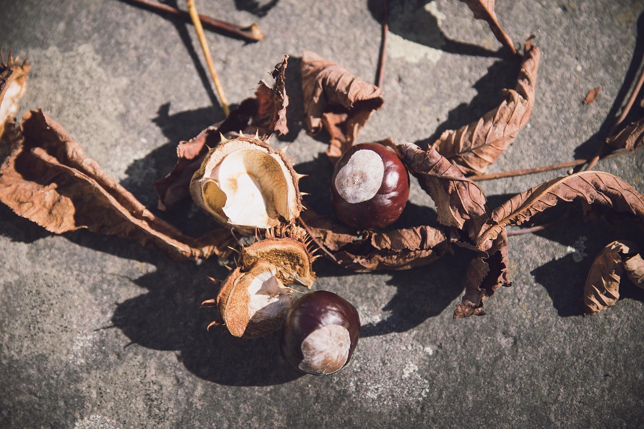 深圳市最新疫情最新消息(深圳市最新疫情)