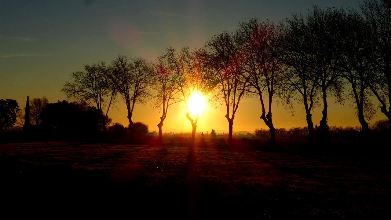 全球疫情数据最新消息全球疫情最新消息今天统计