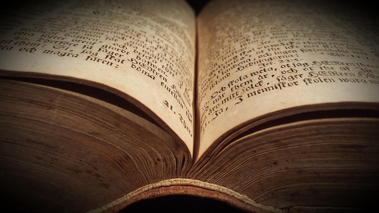 (朗识免费测评网站)，朗识人才测评网站