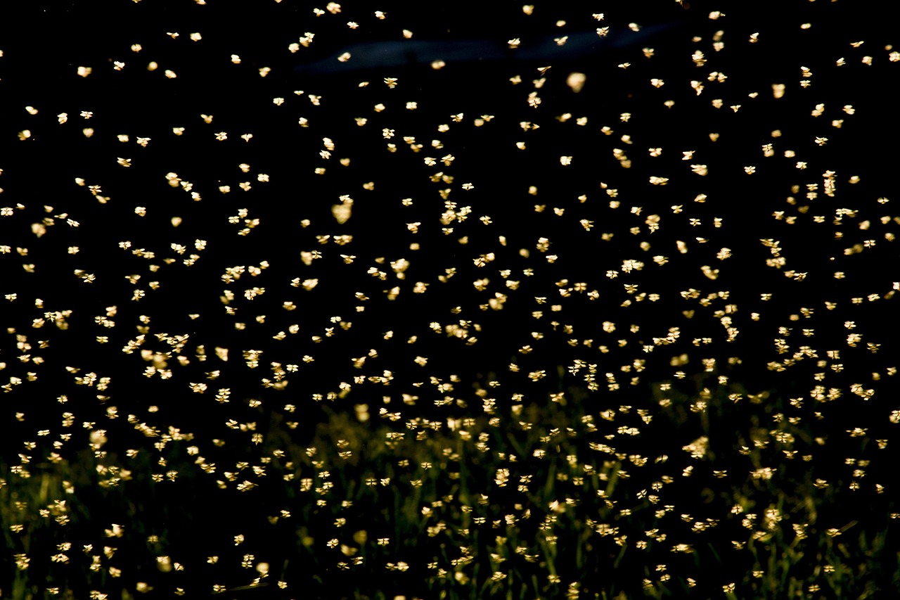 2021年5.1法定假日几天2021年5月1号法定节假日