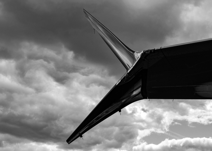 ➿ 山东昨日增本土确诊16例山东昨日新增确诊病例5例其中本土病例4例