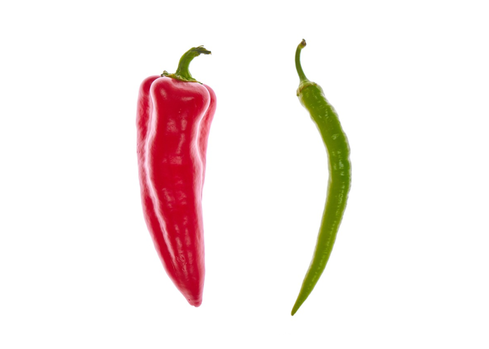 欢乐颂3演员表，欢乐颂3演员表全部