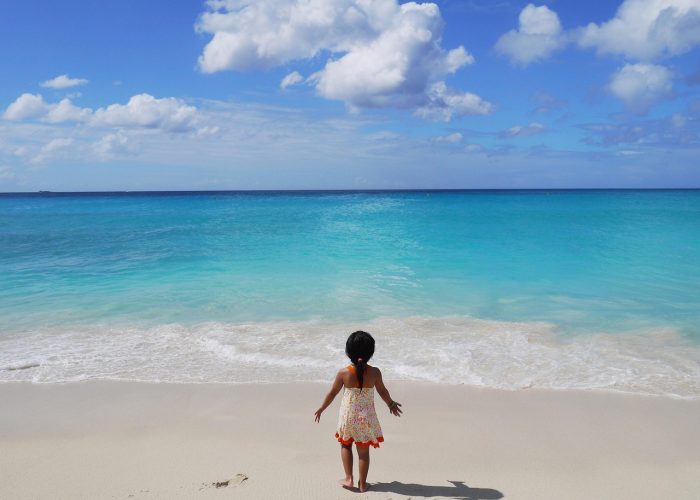 顺丰什么时候停运,快递顺丰什么时候停运