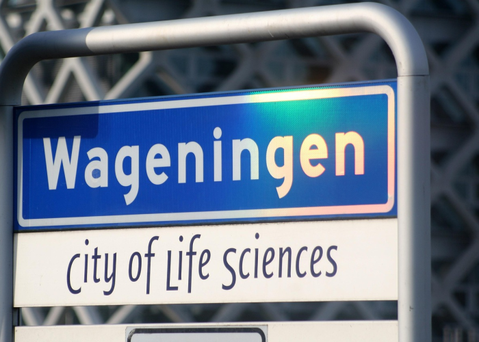 11月30日：城市重启的曙光与精密仪器的重启按钮——解封标准下的郑州叙事
