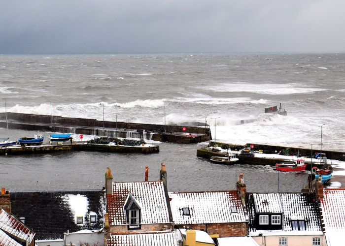 本年度的所有租赁起止时间不可交叉什么意思，本年度的所有租赁起止时间不可以交叉是什么意思