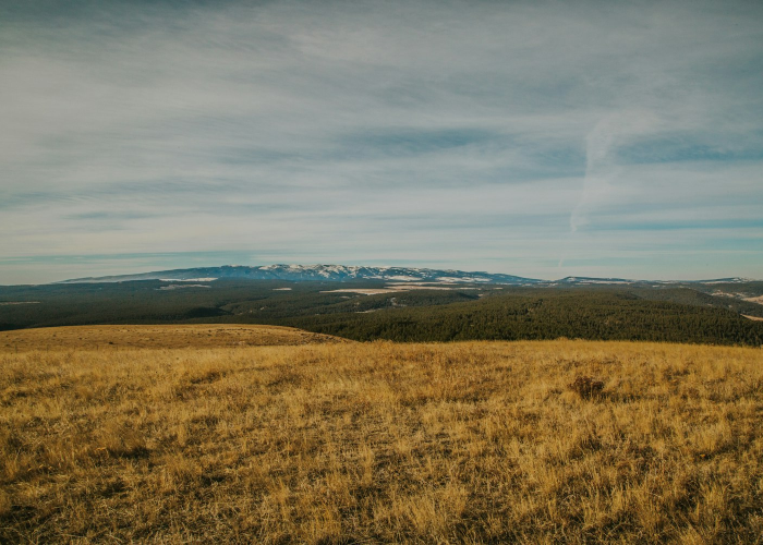 杭州又开始封城了2021年(杭州又开始封城了2021)