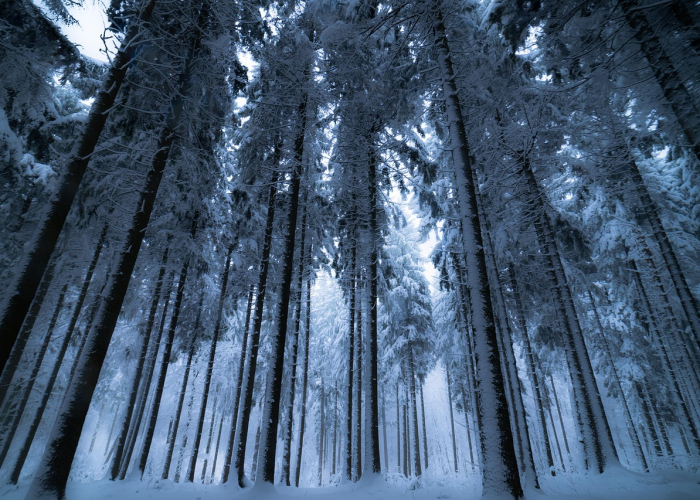 北京新增感染者2378例社会面221例：北京新增报告22例确诊 🔸