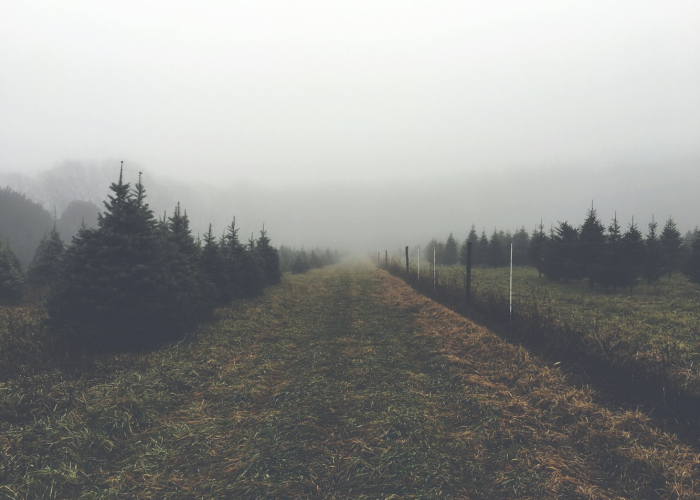 青岛冷链新冠(青岛涉冷链样本51例阳性)