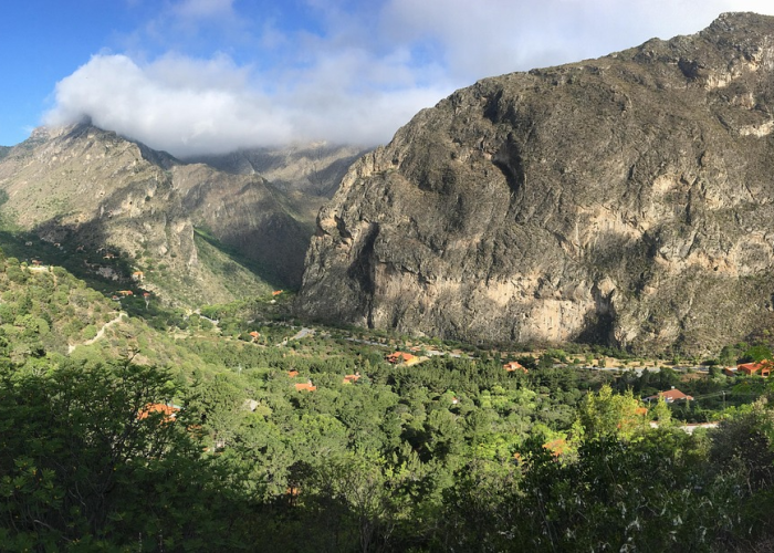 上海新增本土确诊8例的简单介绍