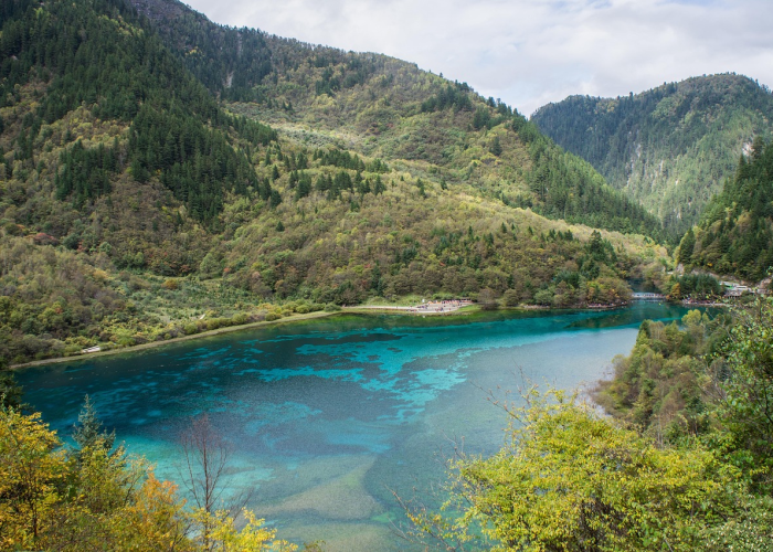 🕔 宁波多名感染者曾去同一地点宁波又出现一例患者