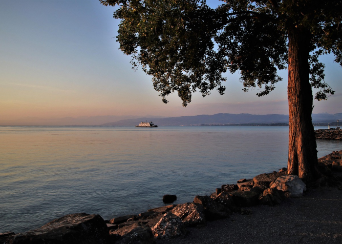 西安疫情最新数据：西安疫情 最新