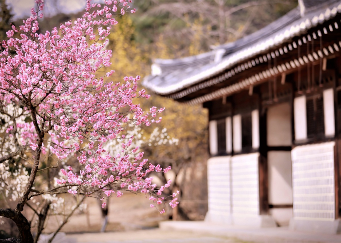 北京新增本土8例 → 北京新增本土疫情