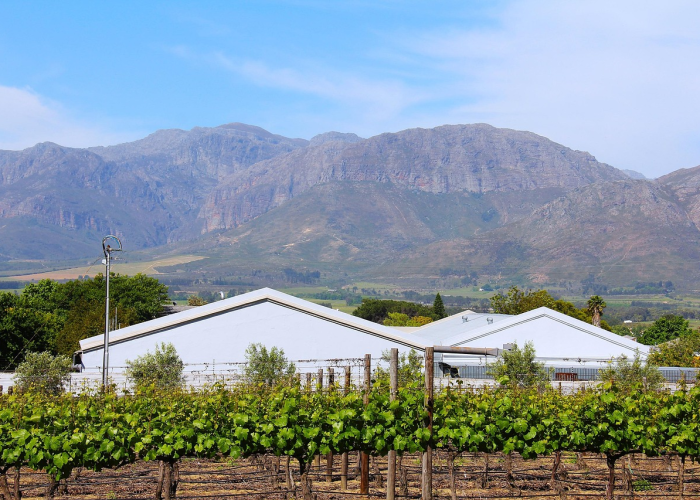 石家庄疫情最新消息(石家庄疫情)