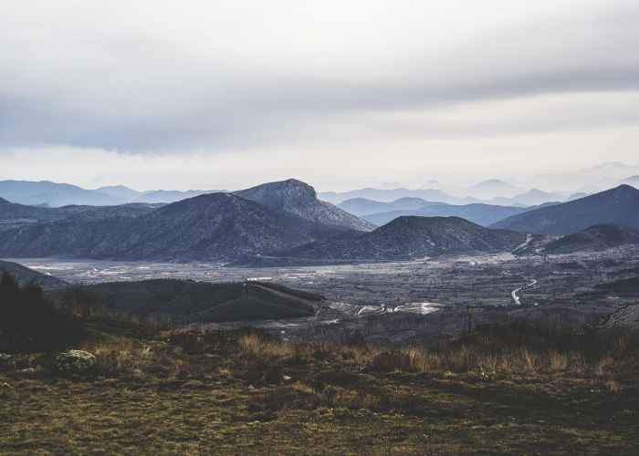 (炒葱椒鸡是哪个地方的菜)，葱炒鸡块窍门