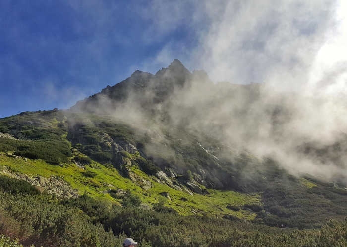 38例关联感染背后的生命防线：哈尔滨院感事件揭示的集体免疫隐喻