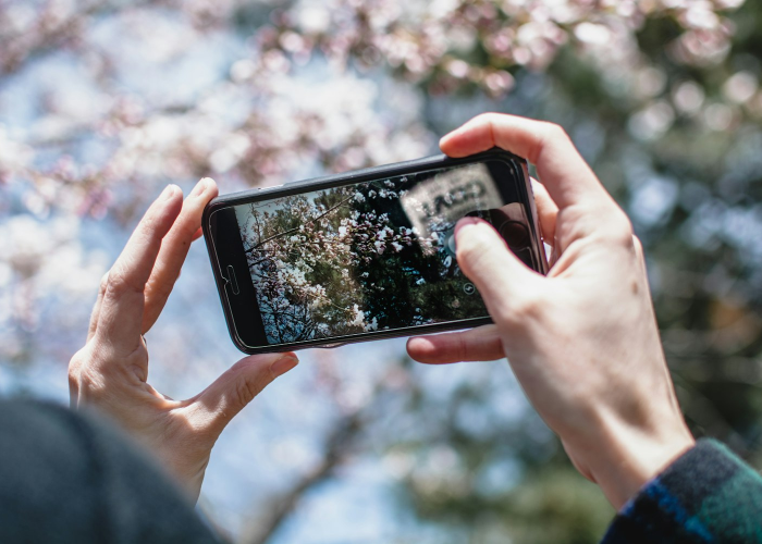 河北一男子疫情(河北一对兄弟确诊曾坐高铁)