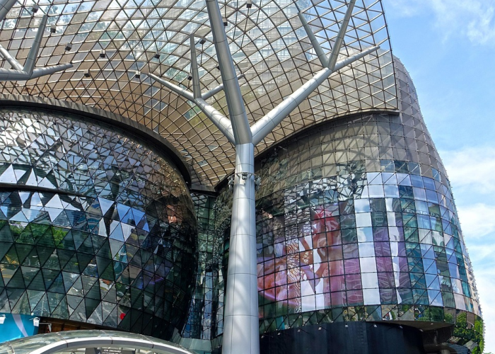 河北新增811例本土病例,河北新增81例确诊病例详情