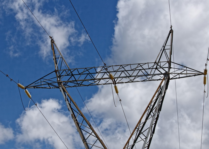 境外人士在深“狂花钱”！商超与餐饮最受欢迎