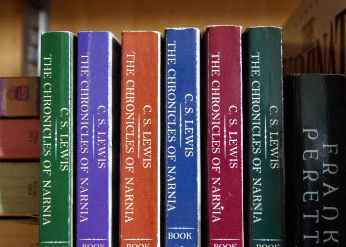 (蔡希有被调查)，蔡希有简介