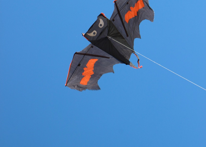 吉林新增13例确诊7例无症状吉林新增13例确诊7例无症状感染者