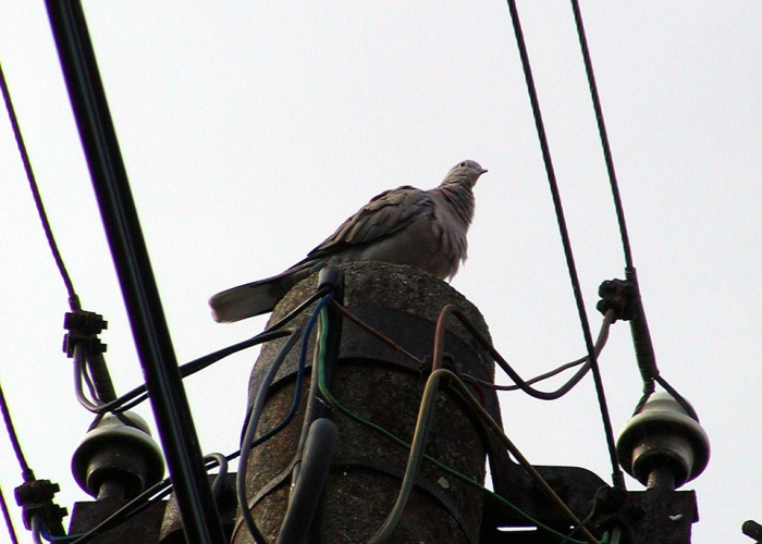 ✅ 专家1个月内或达感染峰值,一个月会感染hpv吗