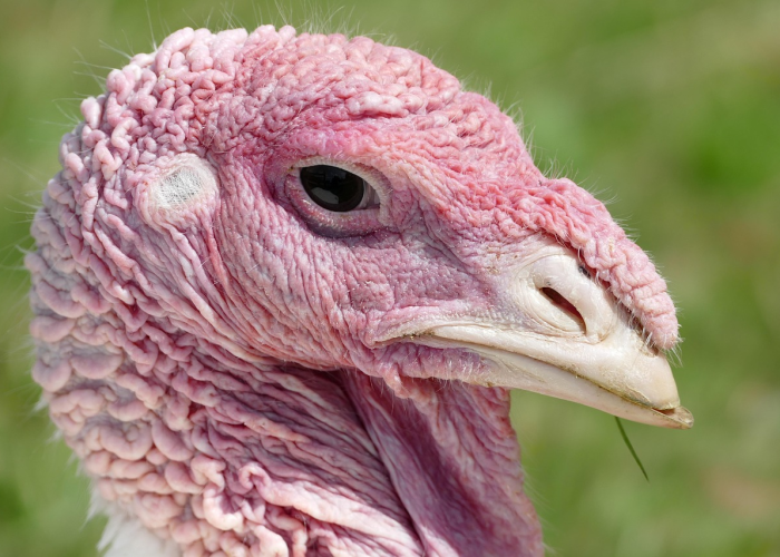 黑河疫情在那个地方(卫健委黑河疫情存在扩散外溢风险)