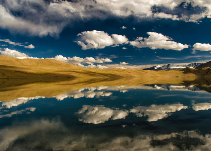 【请问磅和斤的换算,磅和斤关系】