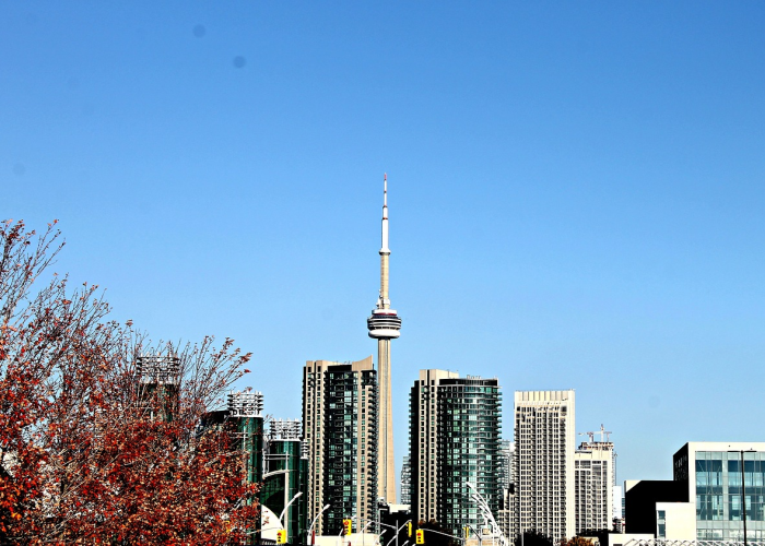 (熟悉的地方也有风景600字作文)，熟悉的地方也有风景600字作文开头