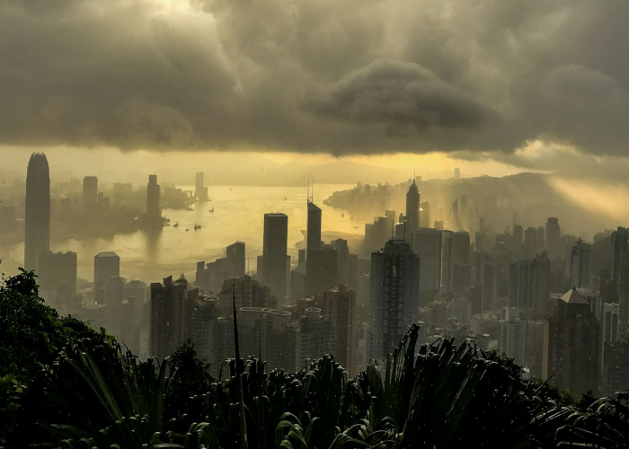 清华本科提档线,清华大学提档线 ➰