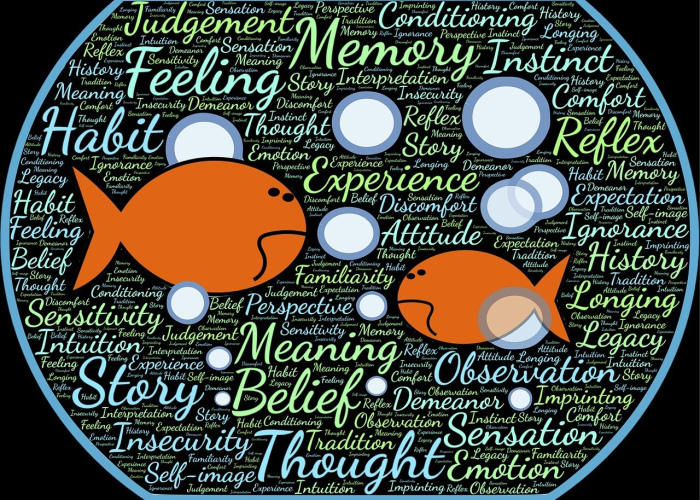 31省区市新增本土确诊87例陕西78例·陕西新增确诊病例323例