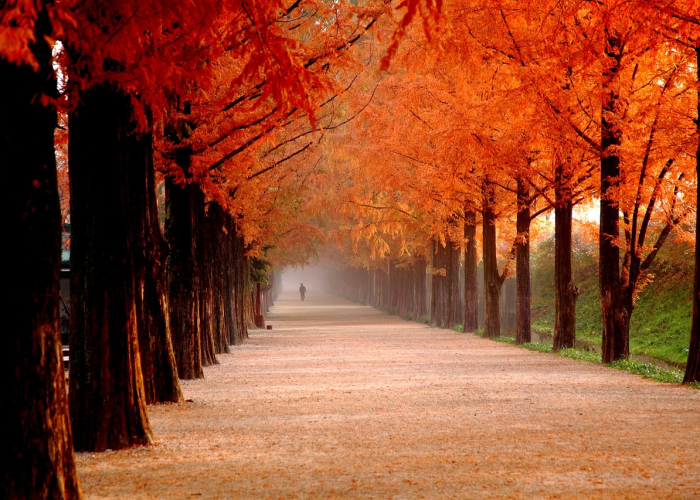 专家称需警惕无症状猴痘感染者猴痘患者图片