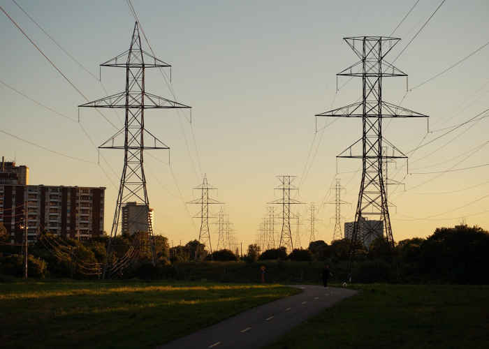 青岛新增12例本土确诊,青岛新增1确诊详情