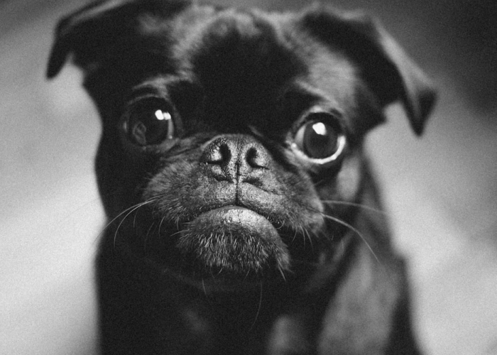 福建省疫情,福建省疫情解除封控的时间