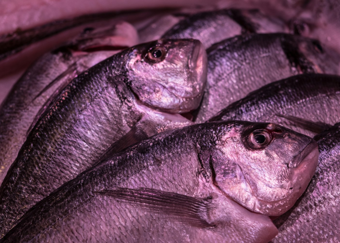 十三例感染浮现的隐秘网络，社区防线的微观战场，城市免疫系统的压力测试