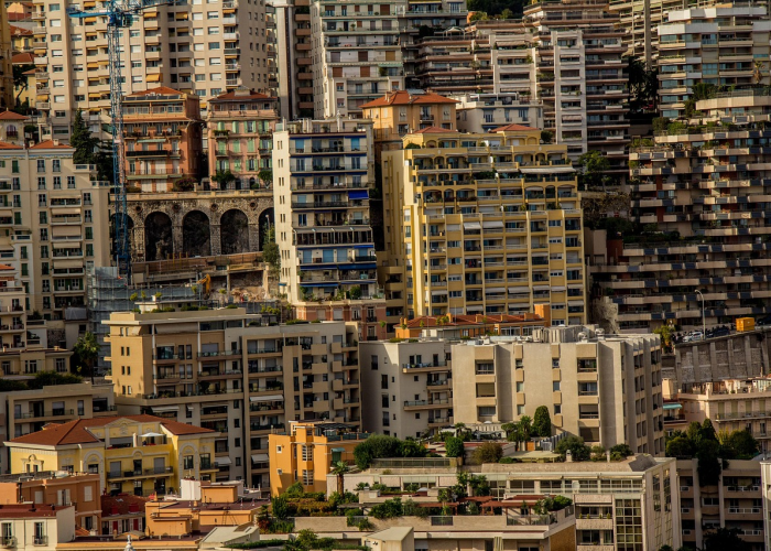 无忧美育，无忧爱美业务模式