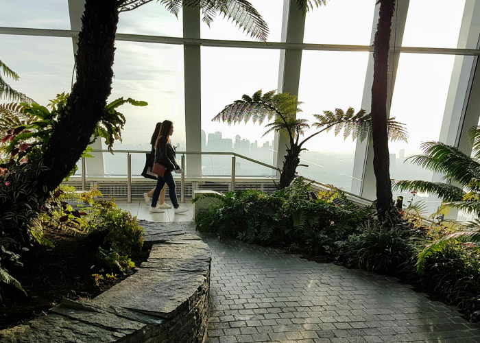 葫芦岛市疫情最新消息葫芦岛市新冠病毒疫情