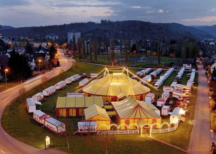 🕓 山西新增本土确诊10例·山西新增20例本土确诊
