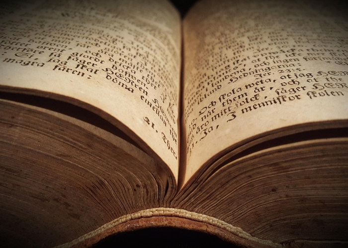 现在出京进京有什么新规定 新闻(现在出京进京有什么新规定)