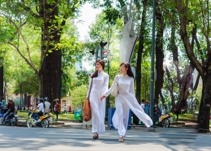 【张大本,张大本事的抗日剧】