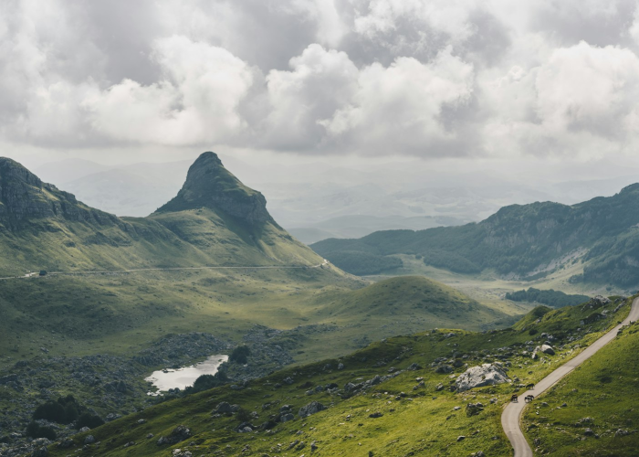 【一棵树两棵树打一字谜,一棵树二棵树打一字】