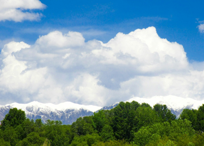 营口鲅鱼圈疫情最新消息营口鲅鱼圈疫情最新报道 ↕️
