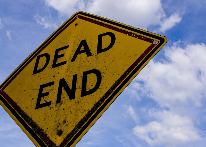 (尼康d3000镜头)，尼康d300s镜头